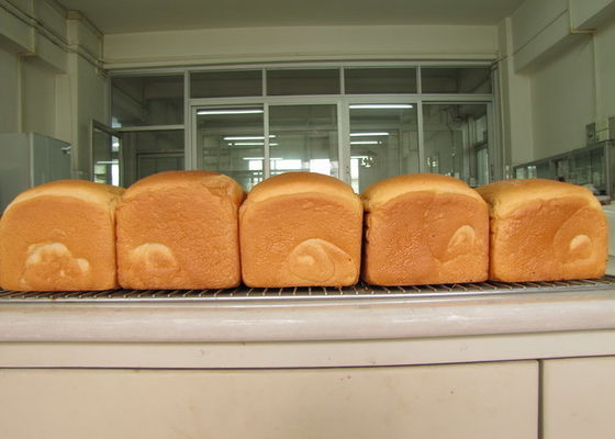 증류 모노글리세리드 E-DH-Z45